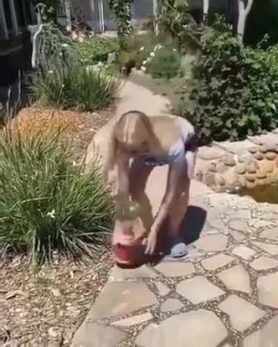 Watermelon fighting back