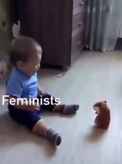 true hamster true