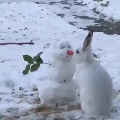 Rabbit Eats Snowman's Nose