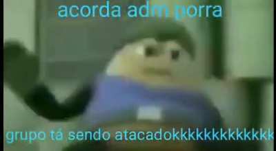 Acorda adm