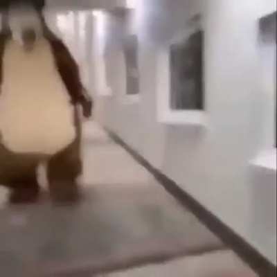 Freddy Frazzle