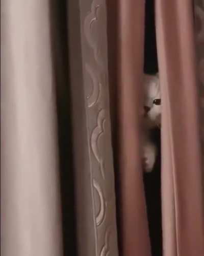 Who's there 😅