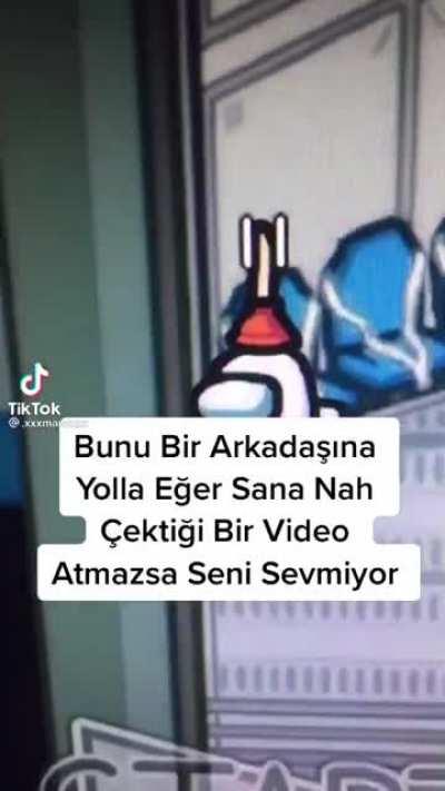 Tiktokdski boktan videolar 9. falan (Bug&uuml;n son g&uuml;n ajanlığımın saat 12:00'da yazı olarak paylaşacağım burayı)