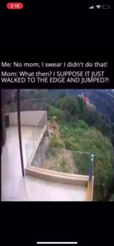 No mom. I didn&rsquo;t do that. 😂