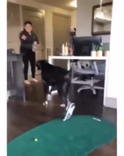 Maybe Maybe Maybe