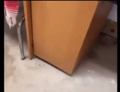 jumpscare wunk