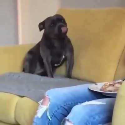 Can I Sit Next To You??
