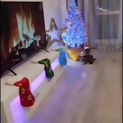 Няшное
