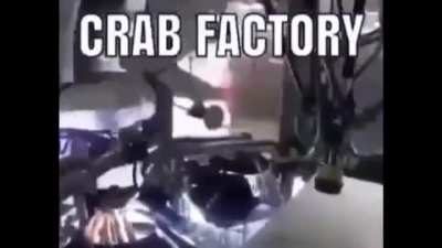 Attack of the crabs