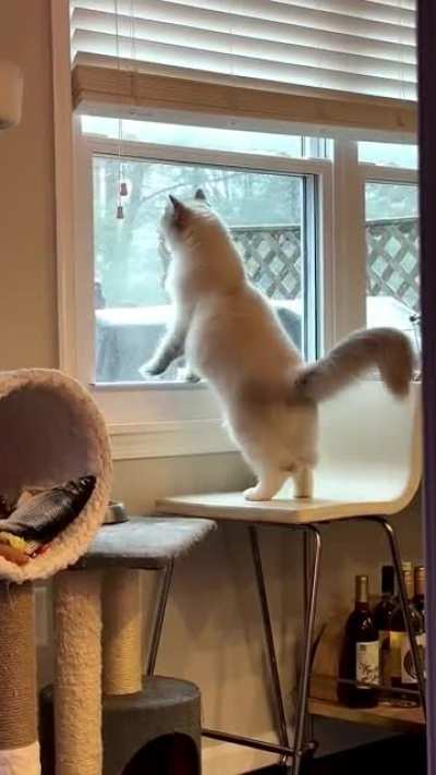 Very vocal about his first snow experience&hellip;