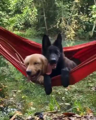 you can't get much more relaxed than this..