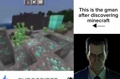 I hate this meme