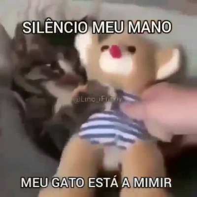 SIL&Ecirc;NCIO MEU MANO MEU ESTA A MIMIR