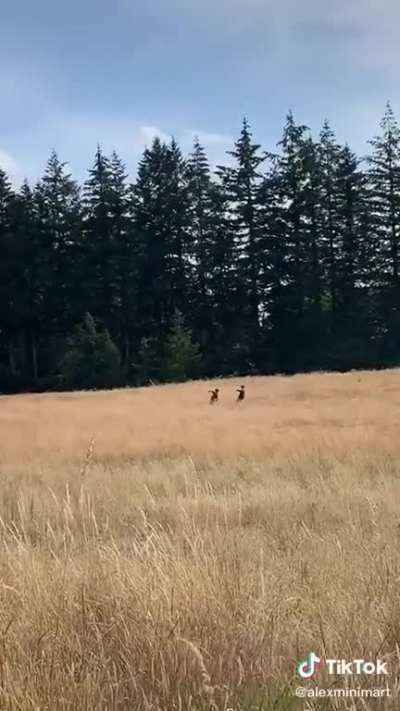 Where are they heading to?