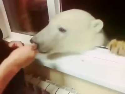 Rusya'da sıradan bir g&uuml;n