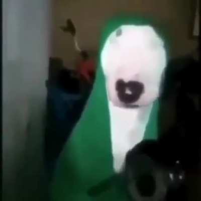 Silly wunker