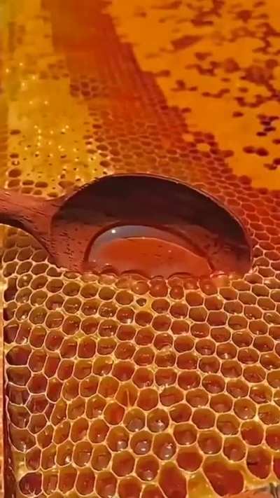 Deve ser t&atilde;o satisfat&oacute;rio provar o melhor natural direto da colmeia.