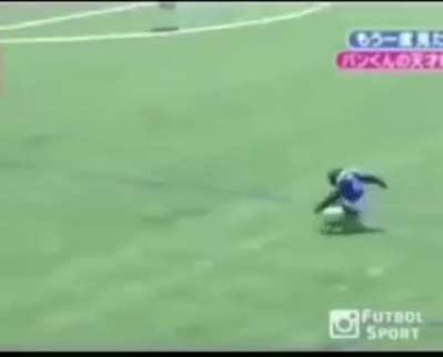 O macaco mais Habilidoso no fut