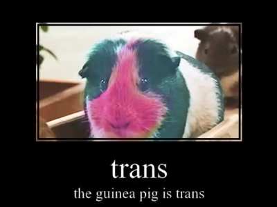 omg sotarks no way