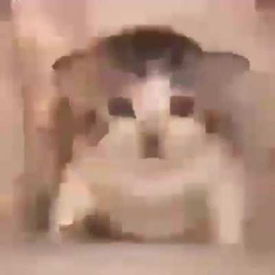 "T-90 is so op waaaaa" average US main reaction: