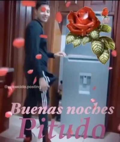 Pitudo buenas