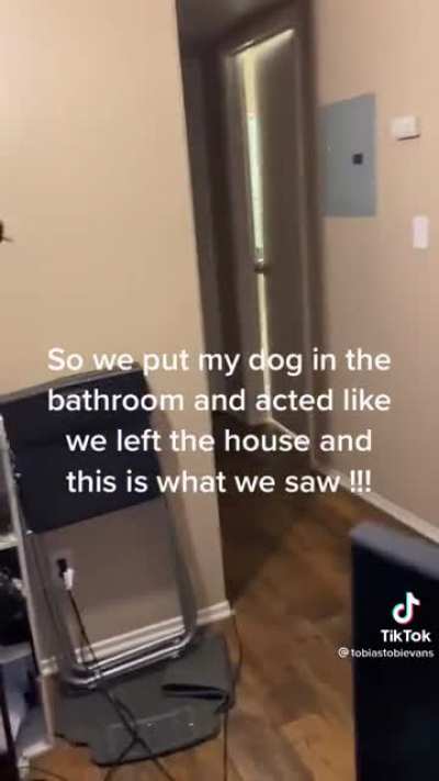 SUS