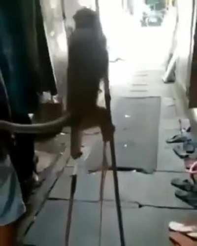 '-'