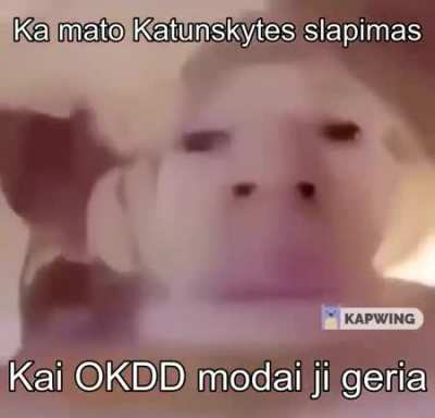 Laba ryta