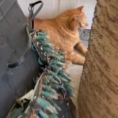 O . O