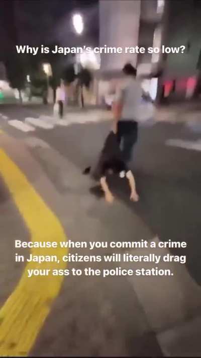 Japanese are built different when it comes to handling thieves.