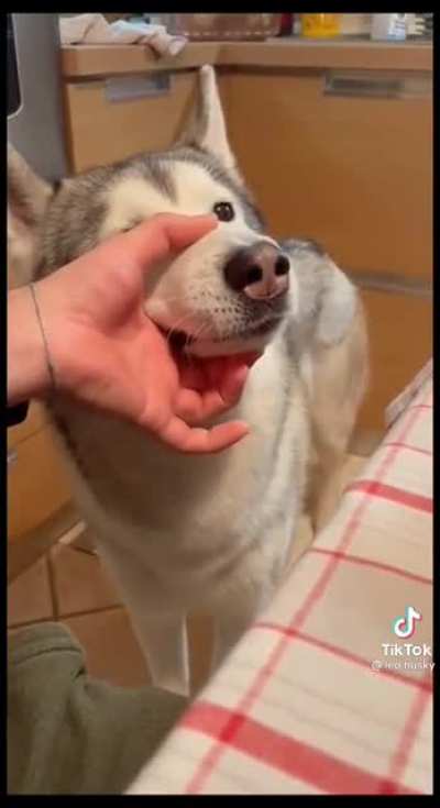 Dude has a lot to say