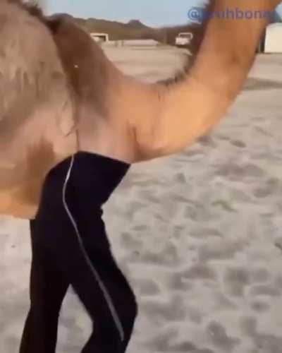 Camel Drip Check