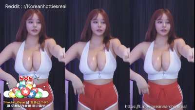 Giant Korean Juicy Melons 🇰🇷