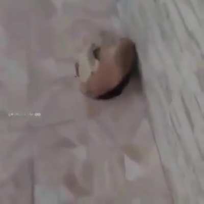 Oiee, primeiro post aqui, dsclp se e repost pepo :(