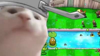JAJAJAJAJAJAJ