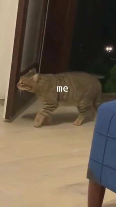 me&frac14;irl