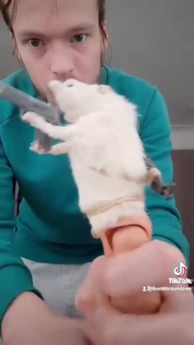 Rat people
