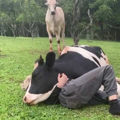 BETRAYAL