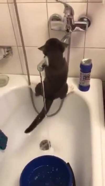 Пздц