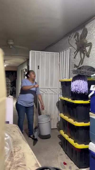 Asustando a mamá con una araña gigante