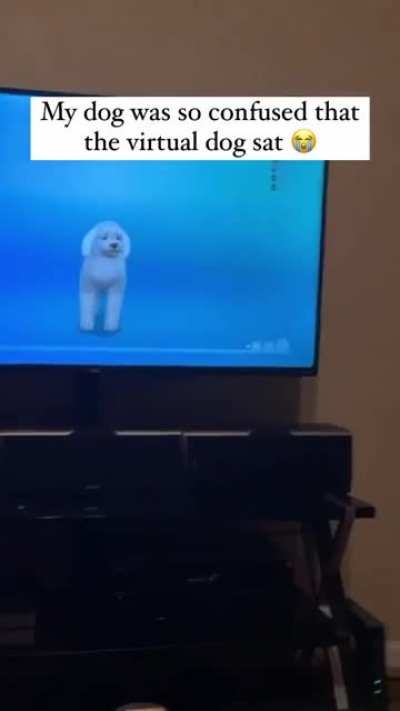 "Bruhhh"
