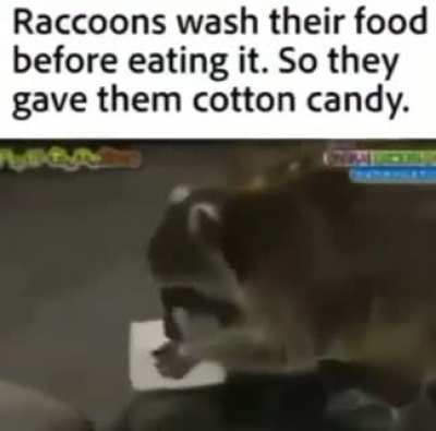 Rule