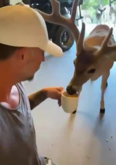 Maybe maybe maybe