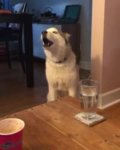 When you&rsquo;re losing the argument so you start talking over the other person.