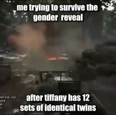 Gender reveal party