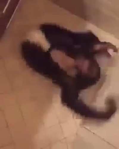 You spin me round