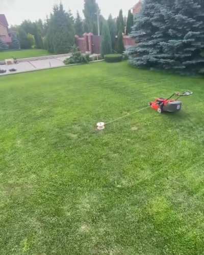 Bubba, why does your lawn have Crop Circles on it?