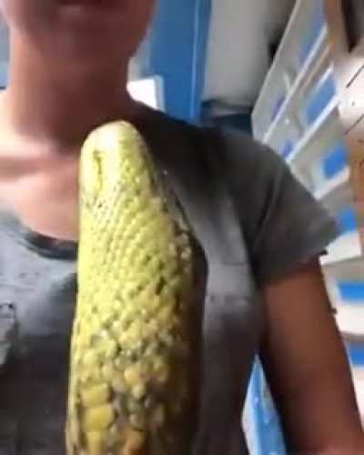 My anaconda don&rsquo;t want none unless you got strokes