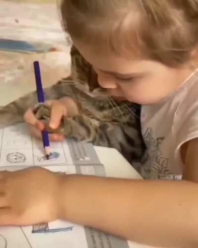 Leonardo Picatso