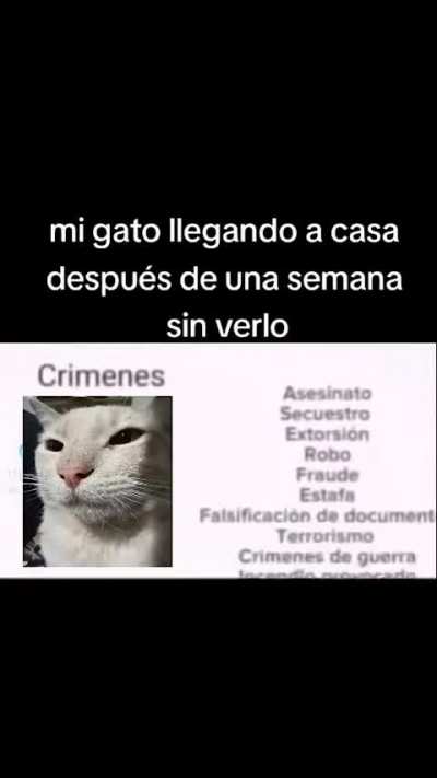 Por eso no tengo gato 🐈 (pdta: sal&iacute; en la portada!)
